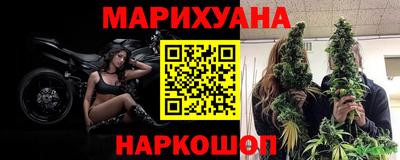 прущие крисы Славгород