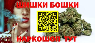 прущие крисы Славгород