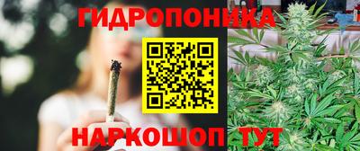 прущие крисы Славгород