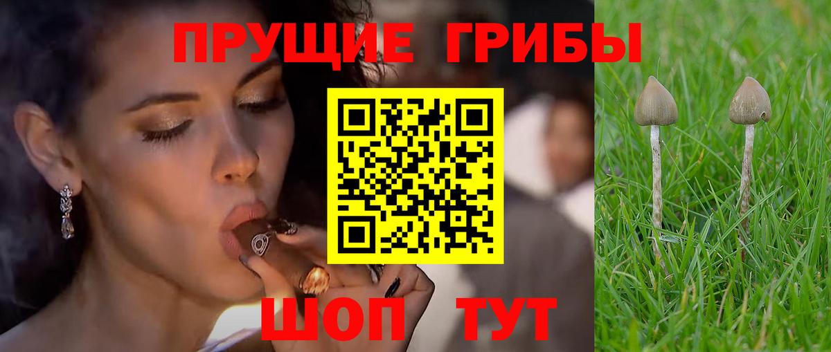 Псилоцибиновые грибы Magic Shrooms Петропавловск-Камчатский